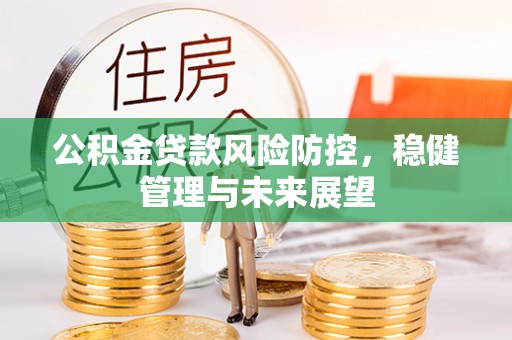临西公积金贷款风险防控，稳健管理与未来展望