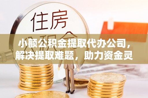 临西小额公积金提取代办公司，解决提取难题，助力资金灵活使用