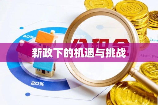 临西新政下的机遇与挑战