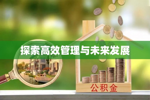 临西探索高效管理与未来发展