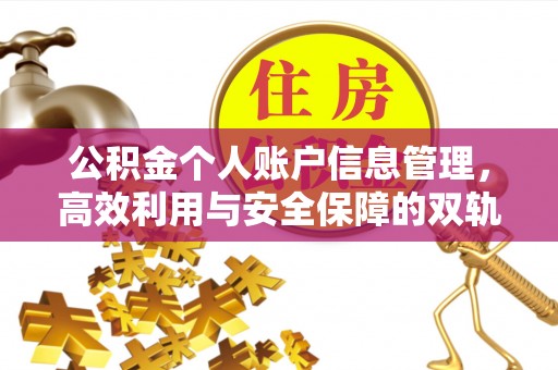 临西公积金个人账户信息管理，高效利用与安全保障的双轨并行