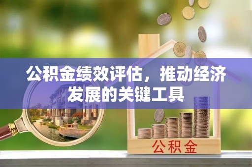 临西公积金绩效评估，推动经济发展的关键工具