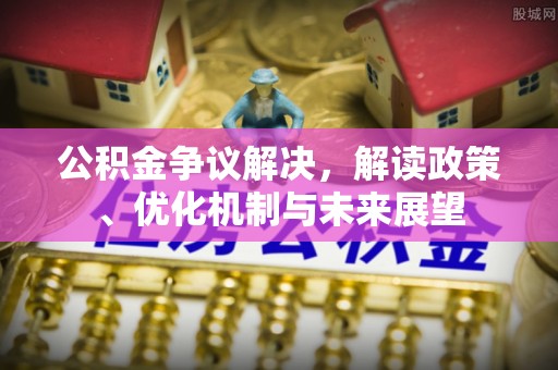 临西公积金争议解决，解读政策、优化机制与未来展望