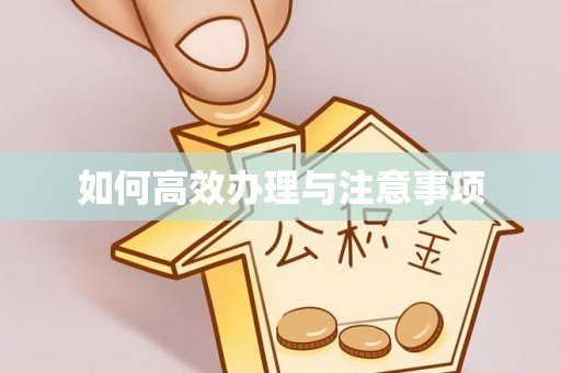 临西如何高效办理与注意事项
