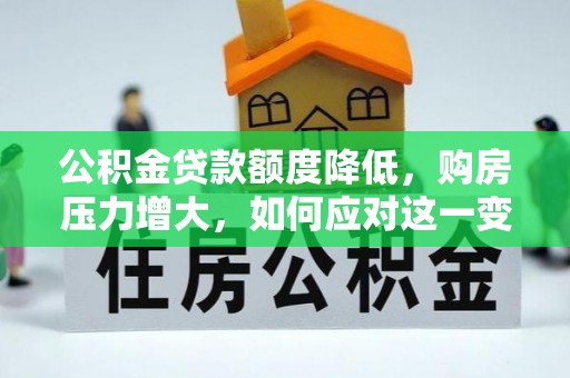 临西公积金贷款额度降低，购房压力增大，如何应对这一变化？