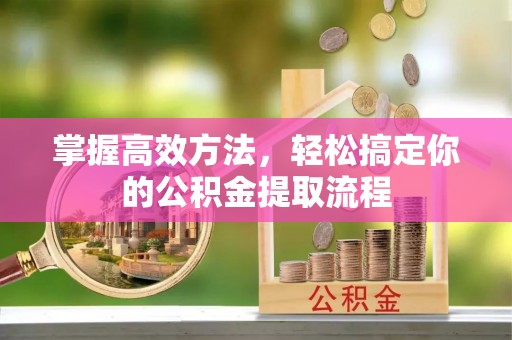 临西掌握高效方法，轻松搞定你的公积金提取流程