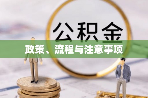 临西政策、流程与注意事项
