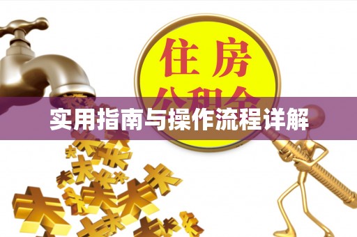 临西实用指南与操作流程详解
