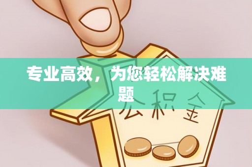 临西专业高效，为您轻松解决难题