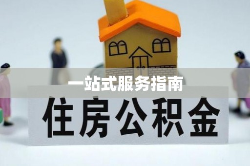 临西一站式服务指南