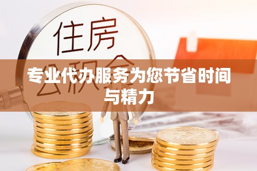临西专业代办服务为您节省时间与精力