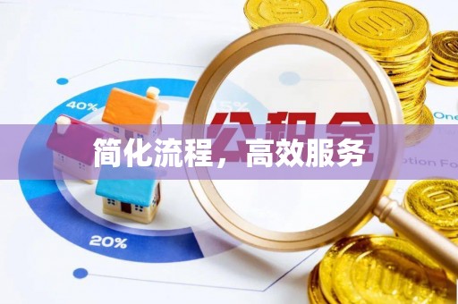 临西简化流程，高效服务