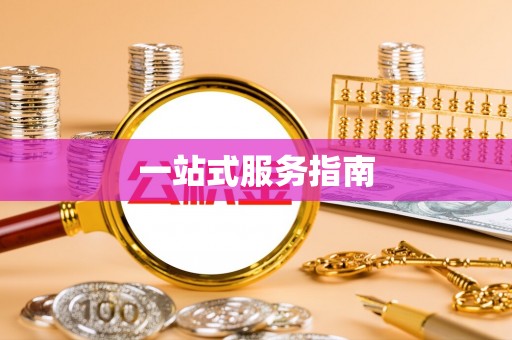 临西一站式服务指南