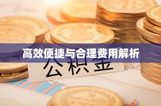 临西高效便捷与合理费用解析