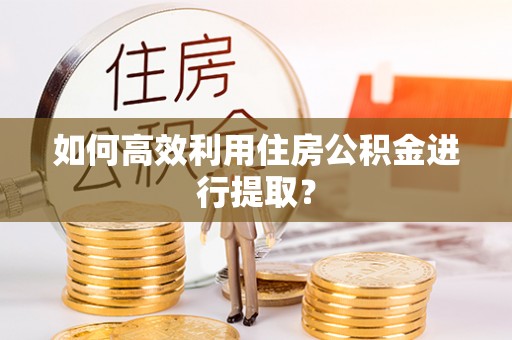 临西如何高效利用住房公积金进行提取？