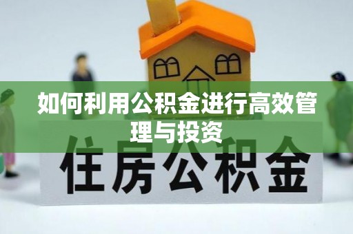临西如何利用公积金进行高效管理与投资