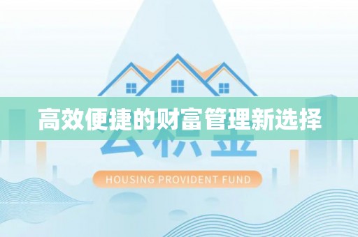 临西高效便捷的财富管理新选择