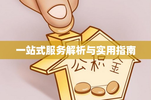 临西一站式服务解析与实用指南