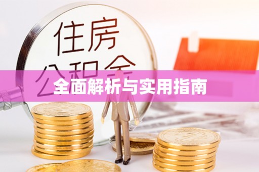 临西全面解析与实用指南