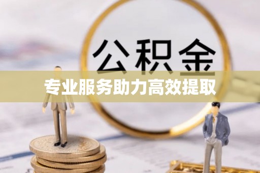 临西专业服务助力高效提取