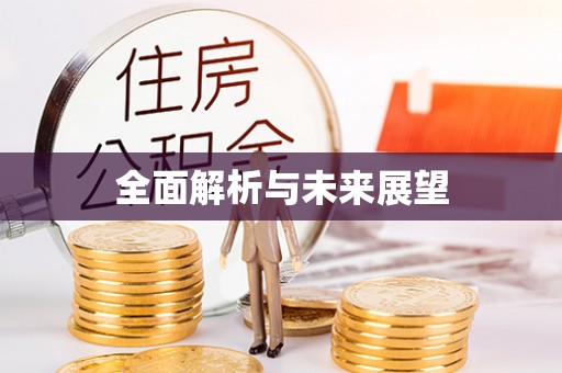 临西全面解析与未来展望