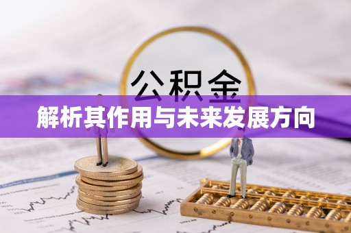 临西解析其作用与未来发展方向