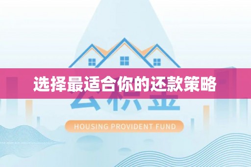 临西选择最适合你的还款策略
