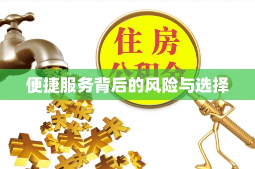 临西便捷服务背后的风险与选择