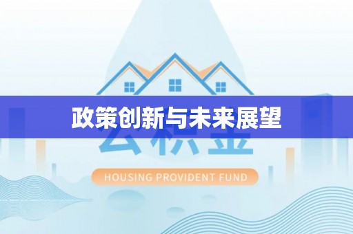 临西政策创新与未来展望
