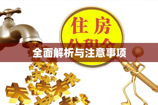 临西全面解析与注意事项
