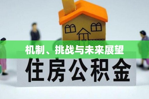 临西机制、挑战与未来展望