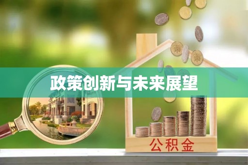 临西政策创新与未来展望