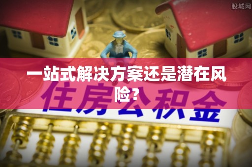 临西一站式解决方案还是潜在风险？