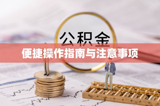 临西便捷操作指南与注意事项