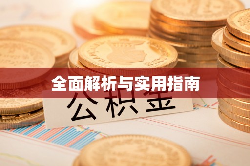 临西全面解析与实用指南