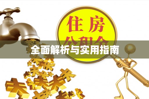 临西全面解析与实用指南