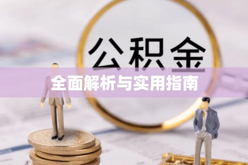 临西全面解析与实用指南