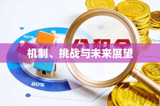 临西机制、挑战与未来展望